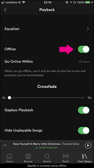 Spotify download doesn